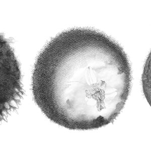 Faim du Chant Défait - Exemplaire de tête avec tirage d'art