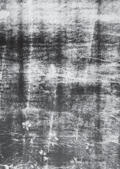 De Fraternitate - Lumelli, Bologna, Cagnone – Image 2